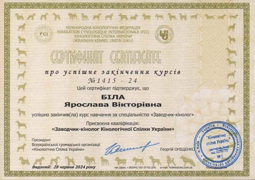 certificate_yaroslava_bila.png